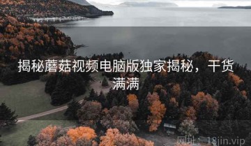 揭秘蘑菇视频电脑版独家揭秘，干货满满