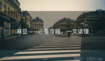 麻豆——必备攻略，一文读懂