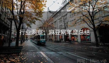 行业洞察：麻豆网年度总结