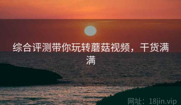 综合评测带你玩转蘑菇视频，干货满满