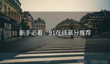 新手必看：91在线高分推荐
