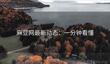 麻豆网最新动态：一分钟看懂