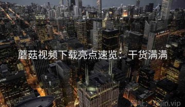 蘑菇视频下载亮点速览：干货满满