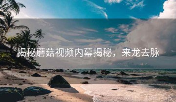 揭秘蘑菇视频内幕揭秘，来龙去脉
