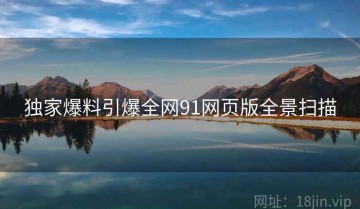 独家爆料引爆全网91网页版全景扫描