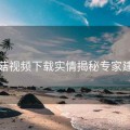蘑菇视频下载实情揭秘专家建议
