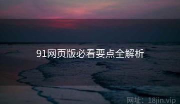 91网页版必看要点全解析