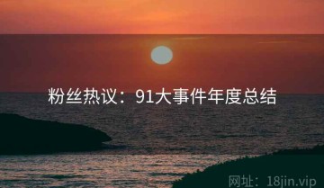 粉丝热议：91大事件年度总结