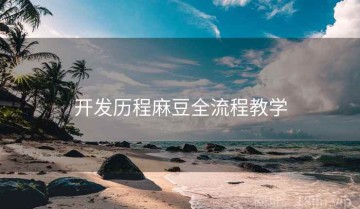 开发历程麻豆全流程教学
