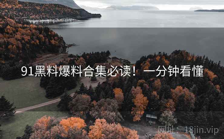 91黑料爆料合集必读！一分钟看懂