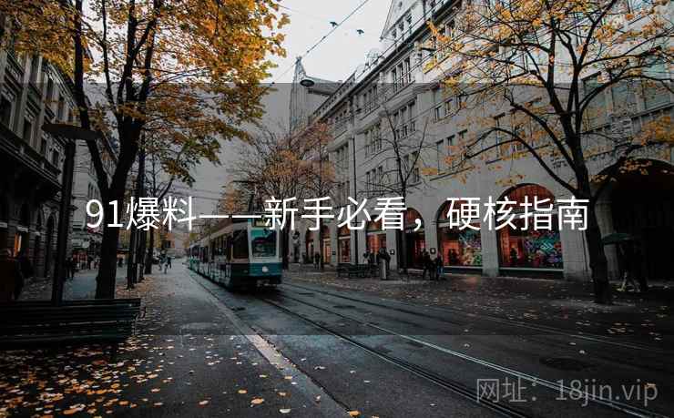 91爆料——新手必看，硬核指南