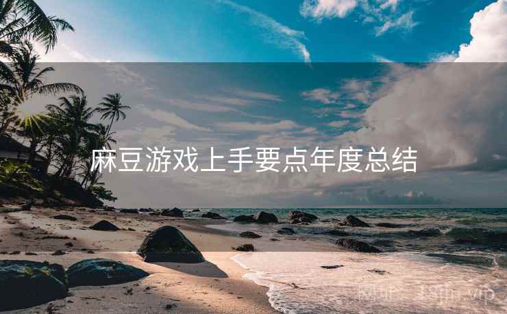 麻豆游戏上手要点年度总结