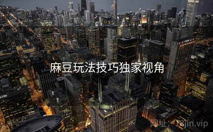 麻豆玩法技巧独家视角