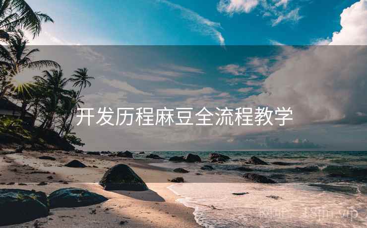 开发历程麻豆全流程教学
