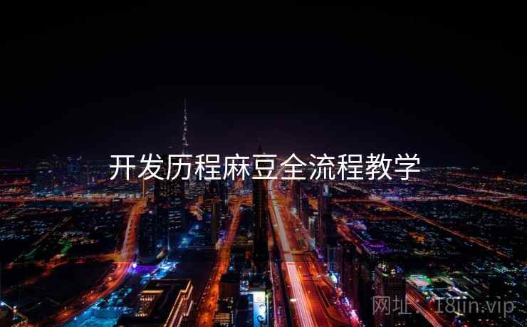 开发历程麻豆全流程教学