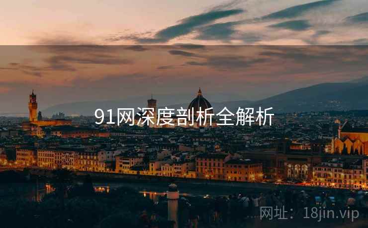 91网深度剖析全解析