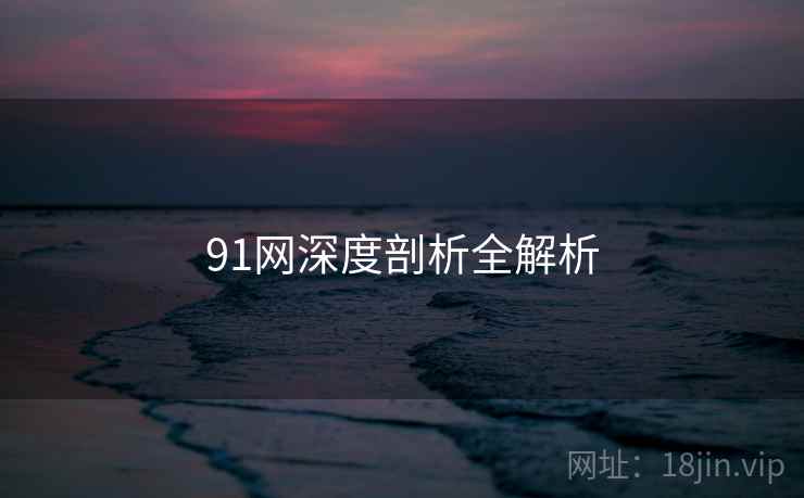 91网深度剖析全解析