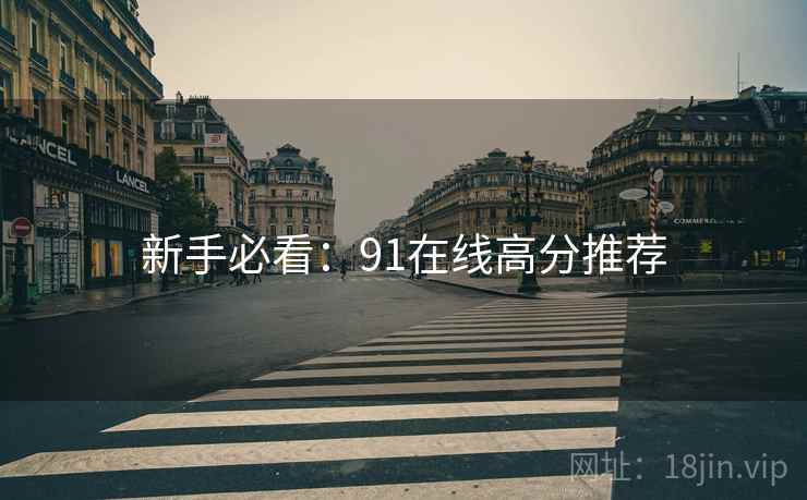 新手必看：91在线高分推荐