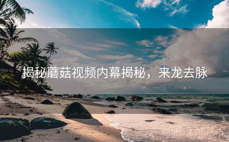 揭秘蘑菇视频内幕揭秘，来龙去脉