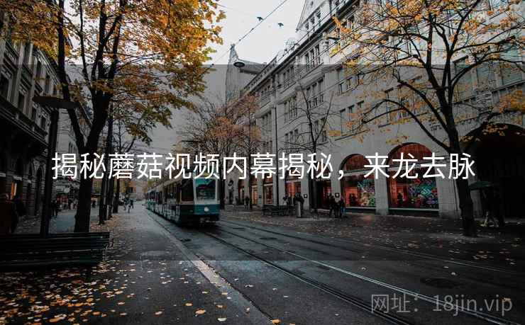 揭秘蘑菇视频内幕揭秘，来龙去脉