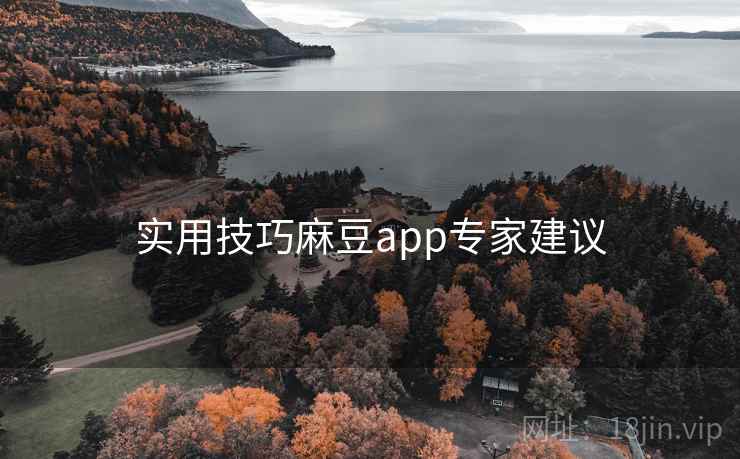 实用技巧麻豆app专家建议