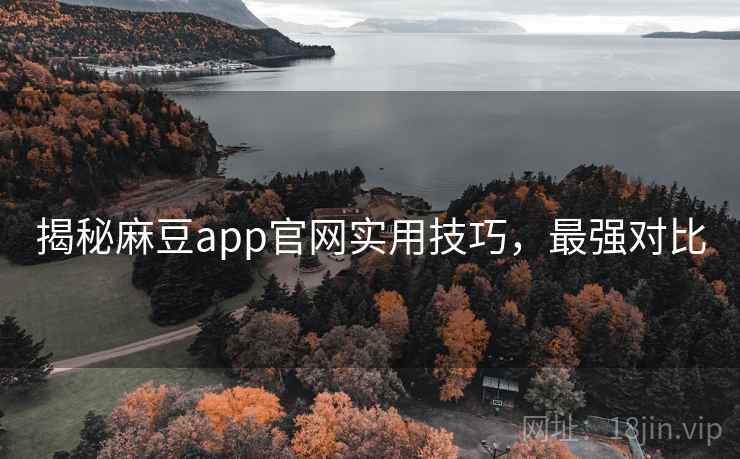 揭秘麻豆app官网实用技巧，最强对比