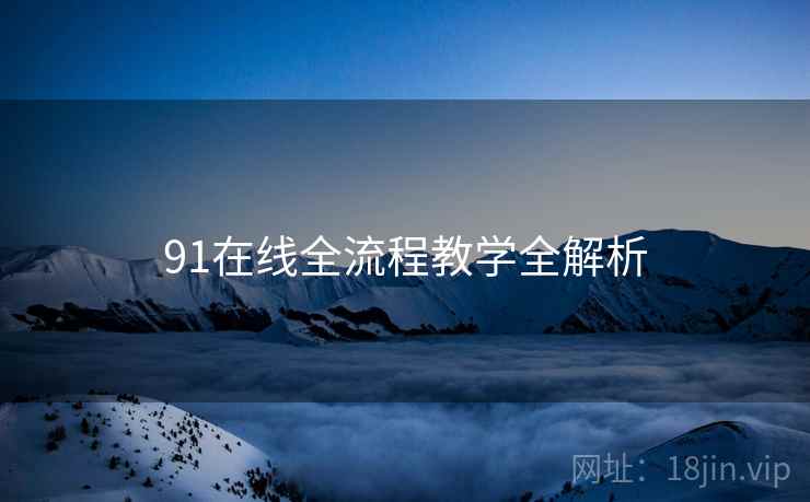 91在线全流程教学全解析