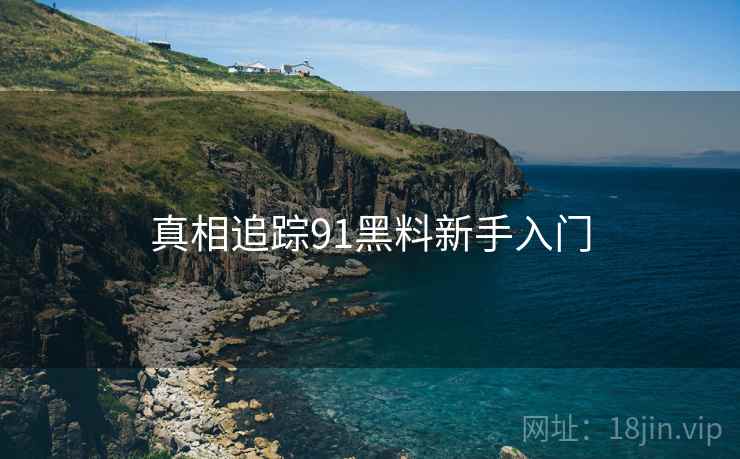 真相追踪91黑料新手入门