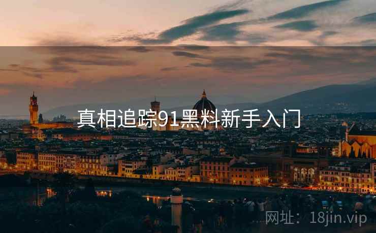 真相追踪91黑料新手入门