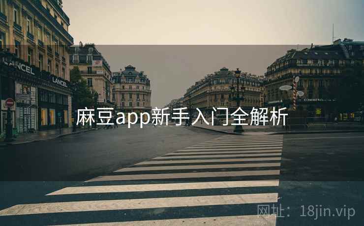 麻豆app新手入门全解析