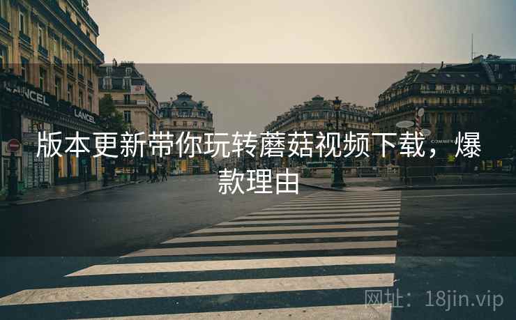 版本更新带你玩转蘑菇视频下载，爆款理由