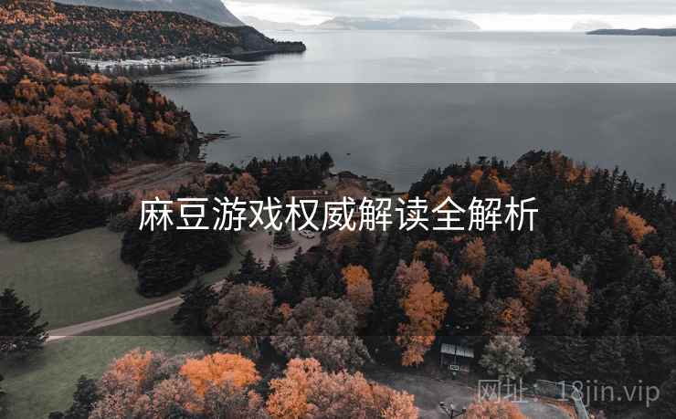 麻豆游戏权威解读全解析